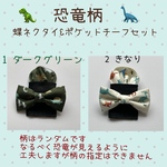 蝶ネクタイ&ポケットチーフセット＊恐竜柄