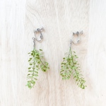 【こどものこころをつかむ◎】ぺんぺん草のイヤリング※ピアス変更可　金具カラー シルバー