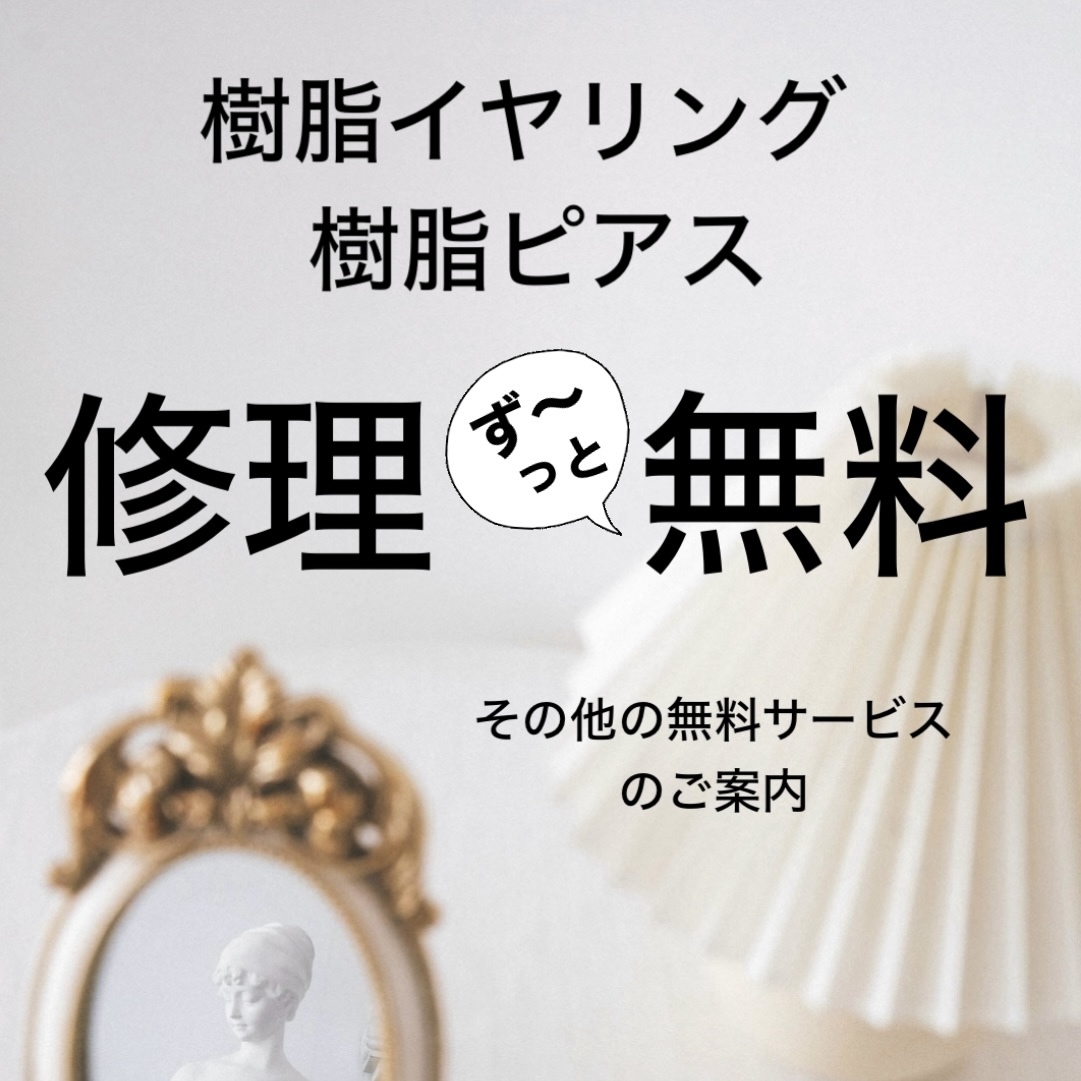AKKAの無料サービス 10,800円