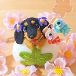  柏餅で鯉のぼり ダックス  ブラックタン♬.*゜ 春  犬 羊毛フェルト ぬいぐるみ ミニチュア