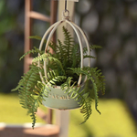 ミニチュア 観葉植物 クサソテツ 粘土製 ドールハウス ミニチュアハウス 贈り物