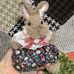 【うさきんちゃく】巾着になったうさぎさん🐰🎀
