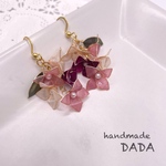 揺れる沈丁花