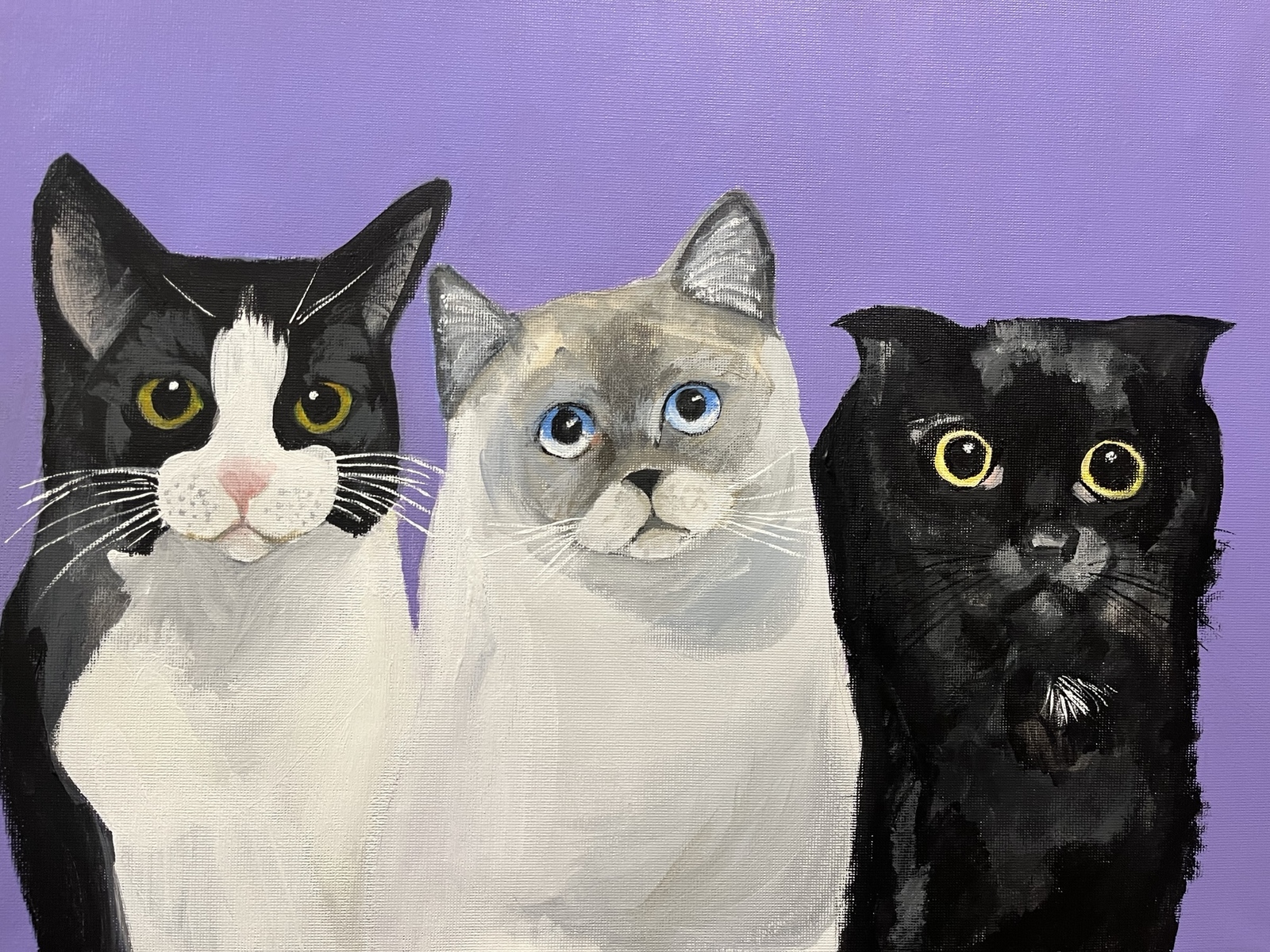 ペットの似顔絵オーダー　猫 ペットの似顔絵 ネコ似顔絵 オーダーメイド リアル イラスト