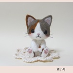 三毛猫ちゃん