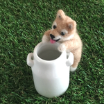柴犬ちゃん『何が入ってんの？』