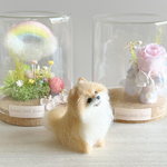 ポメラニアンちゃん　選べるガラスケース2タイプ　犬フラワーアレンジメント　虹の橋　羊毛フェルト
