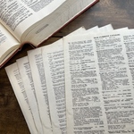 大サイズの洋書切離し・メディカル系辞書・文字のみ・30枚【mc】
