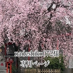 nadeshiko072様専用ページ