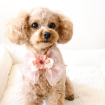 再販リボンチョーカー