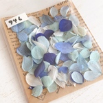 春色ドライフラワーの花びらセット