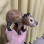 カピバラさん。