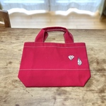 💎‪💧‬帆布小bag♥️赤