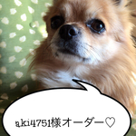 aki4751様専用ページ♡