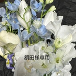 額田様専用ページ