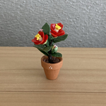 椿　ちびっこ鉢　8