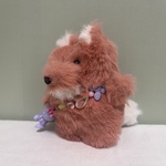 きつねどん