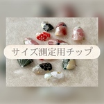 サイズ測定用チップ