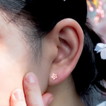 桜の耳飾り　一粒　一輪　花　極小　小さい　ピアス　イヤリング　桜　さくら　春　母の日
