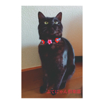 赤とピンクの小花モチーフ猫ちゃんの首輪