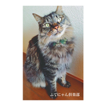 再再再入荷！！迷彩柄蝶ネクタイ猫ちゃんの首輪