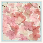 【再販15】100枚 紫陽花 プリザーブドフラワー  花びら  ピンク系 【4色アソートE】