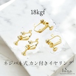 【18kgf】1ペア（2個） 高品質 ネジバネ式 カン付きイヤリング