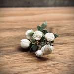 白薔薇