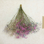 1点物ドライフラワーかすみ草☆スワッグ☆花束