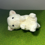 ねこ　ごろん(ミルク・手のひら)