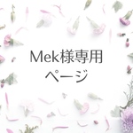 【専用ページ】　イヤリング　