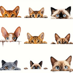 【送料無料】　No.7275　のぞき見　猫の熱転写シート　９個セット　アイロン　ワッペン　パッチ　ねこ　アニマル　動物
