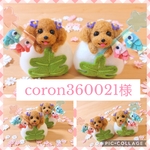 coron360021様 専用♡ 羊毛フェルト 柏餅で鯉のぼり トイプードル ✩.*˚