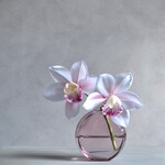 咲き続けるシンビジューム(テンダーピンク　大輪)　マジカルウォーター　癒しのフラワーインテリア