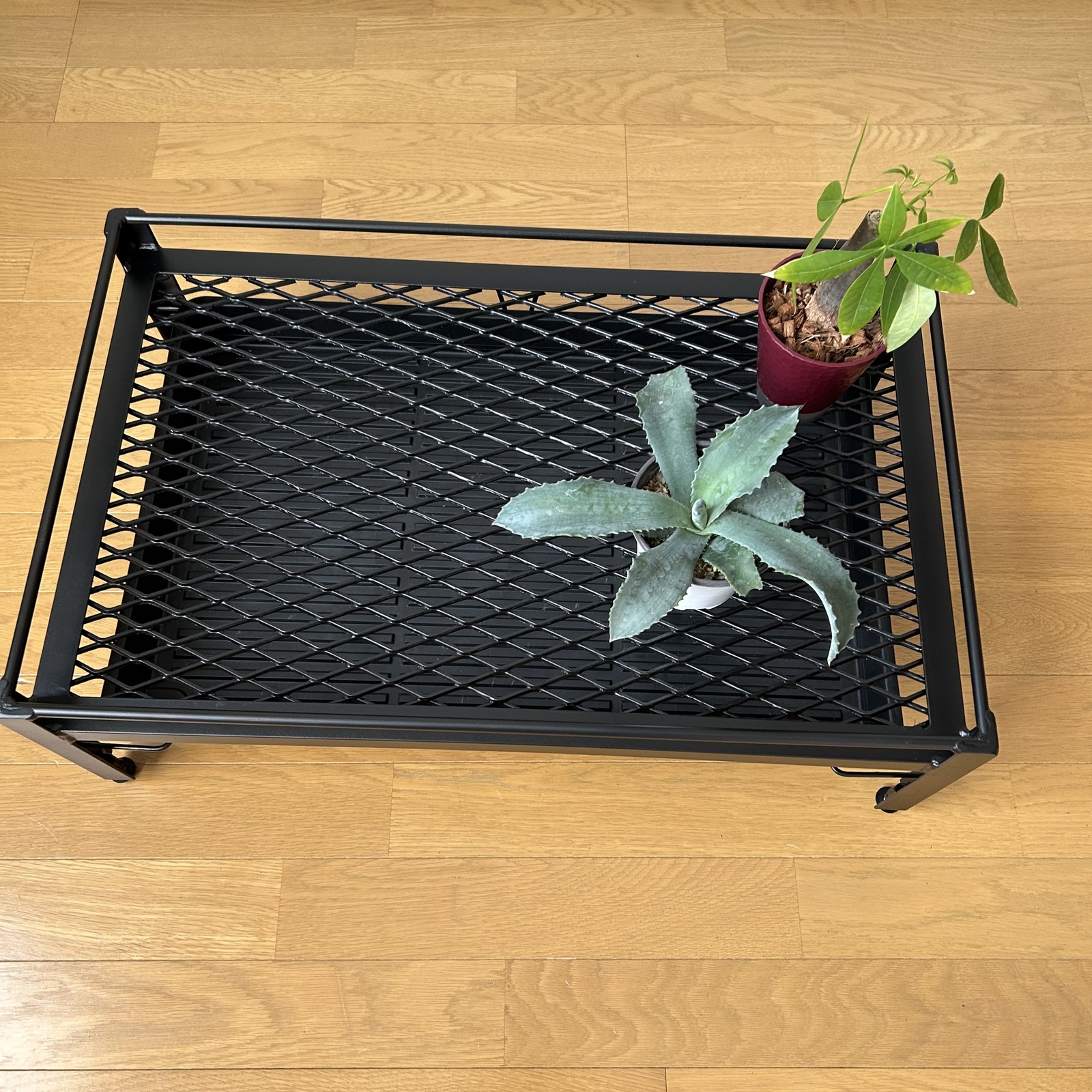 メッシュプランターメッシュアイアンプランタラック 64cm x 40cm