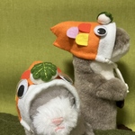 🌟こいのぼりになっちゃうぞ🎏柏餅乗せ