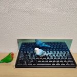 【1点モノ】バードトイ　ミラー & キーボード 3　インコ　おもちゃ　破壊系おもちゃ