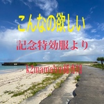 ☆こんなの欲しいオーダー