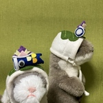 🌟柏餅になっちゃうぞ🎏こいのぼり乗せ