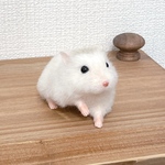 かなかな様専用ページ