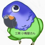 nai555様専用 うちの子オーダー作成 ☆ホオミドリアカオウロコインコ☆マグネット/ブローチ どちらか選択   受注作成　オーダー可能　工房小鳥屋さん