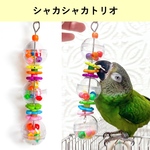 シャカシャカ音が鳴り止まない！シャカシャカトリオ