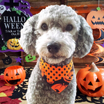 ♡ 小型犬用ハロウィン限定 バンダナ S♡