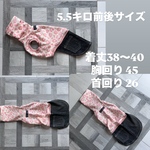イタグレの服　イタグレ服　イタグレ