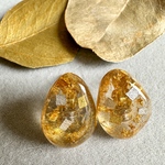 【 水中のクリムトgold 】 金箔ピアス/goldピアス/24k