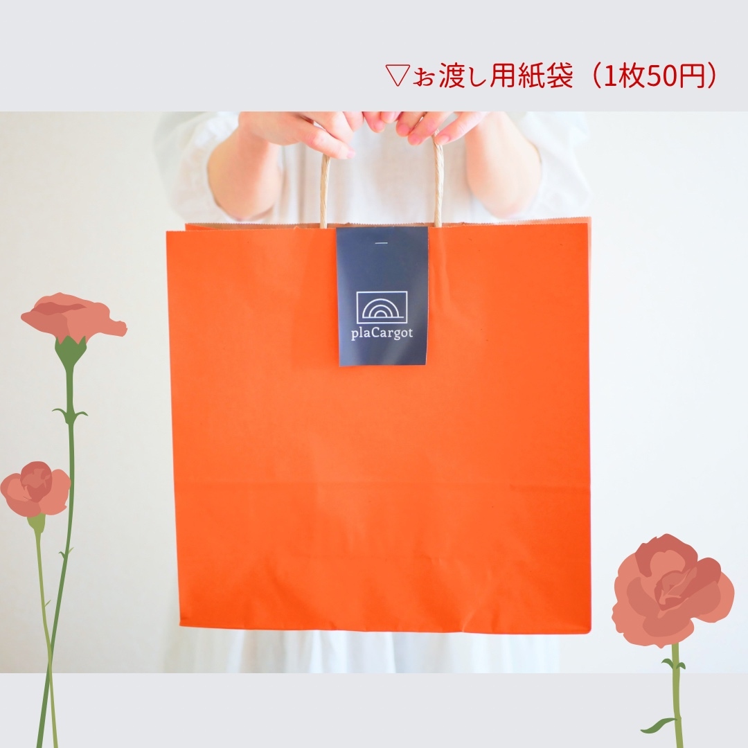 シルバー（フチ模様あり） L 2WAYプラカゴバッグ A4サイズ - plaCargot