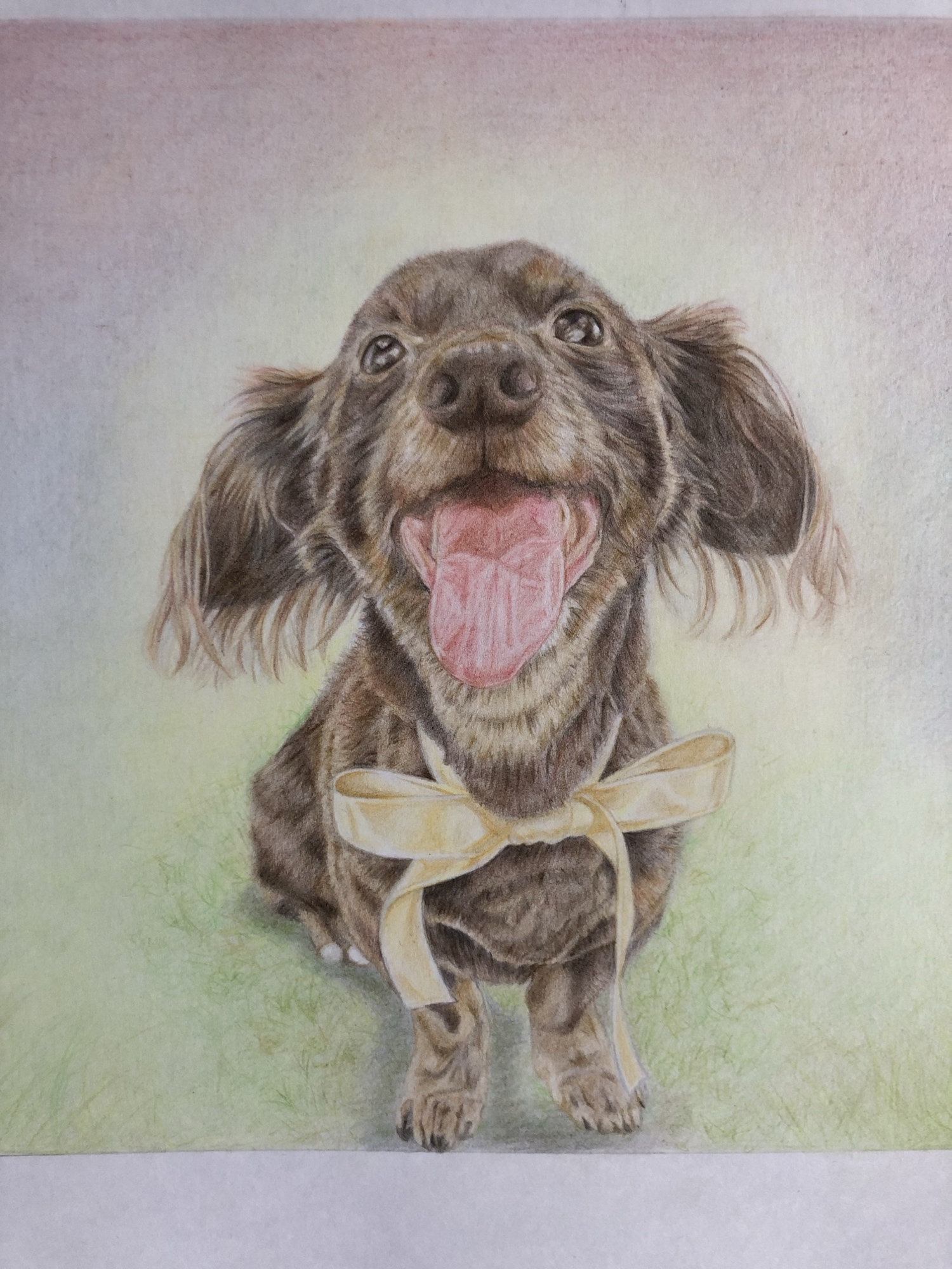 オーダーメイドによる、色鉛筆などで描く肖像画　A4サイズ　ペット　人物画