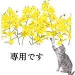 専用です