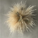 パンパスグラス