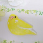 セキセイインコ インコ 黄色 ルチノー ブローチ マグネット 小鳥 鳥 とり いんこ アルビノ